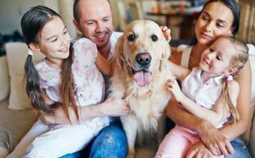 5 пород собак идеальных для семьи: как выбрать лучшего друга