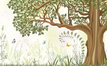 10 найстаріших дерев в Україні (відео)