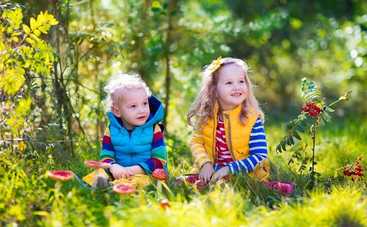 7 правил безопасного сбора грибов: запомните сами и расскажите детям