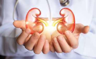 6 ежедневных привычек, убивающих ваши почки: как сохранить здоровье почек