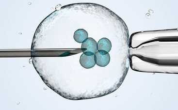 Что такое эко-беременность: полная информация о процедуре ЭКО