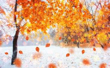 Покров Пресвятой Богородицы: украинские традиции и приметы праздника