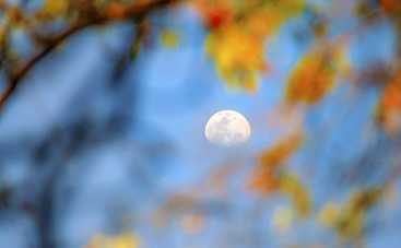 Полнолуние 24 октября 2018: перемены в финансах коснутся каждого