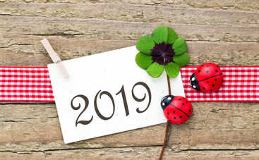 Новый год 2019 по фен-шуй: как привлечь в дом удачу и деньги
