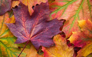 5 самых опасных дней в ноябре 2018 года: как себя защитить