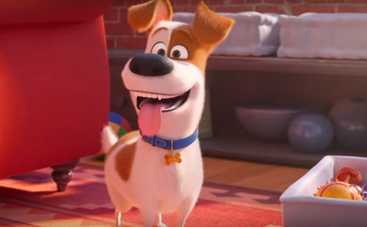 Вышел трейлер мультфильма Тайная жизнь домашних животных 2 (видео)