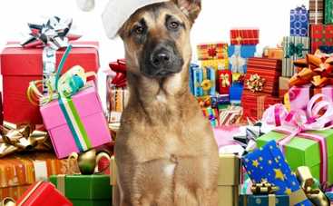 К-9: Рождественские приключения: смотреть фильм онлайн в хорошем качестве