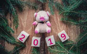 5 опасностей 2019 года: какие неприятности подложила нам Желтая Свинья