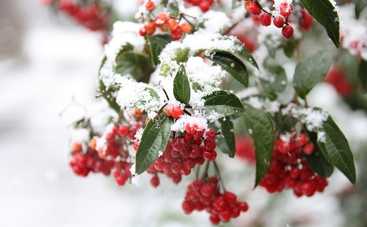 16 ноября Анна Холодная: приметы праздника в честь княжны Анны Киевской