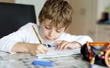 Реформа освіти: в Україні з'явиться домашня освіта та педпатронаж