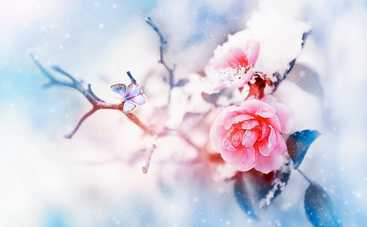 22 декабря именины Анны: красивые поздравления с Днем Ангела Анны