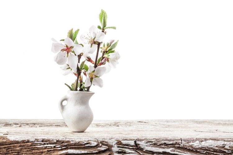 nanking-cherry-blossoms-in-white-vase-isolated-on-white-picture-id957770678