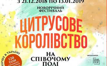Цитрусовий фестиваль: 21 грудня відкриття новорічної казки на Співочому полі