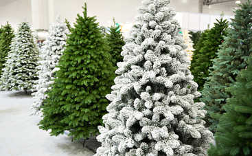 Как выбрать качественную искусственную елку: полезные советы