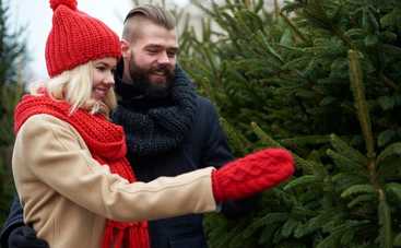 5 советов, как правильно выбирать живую елку на Новый год