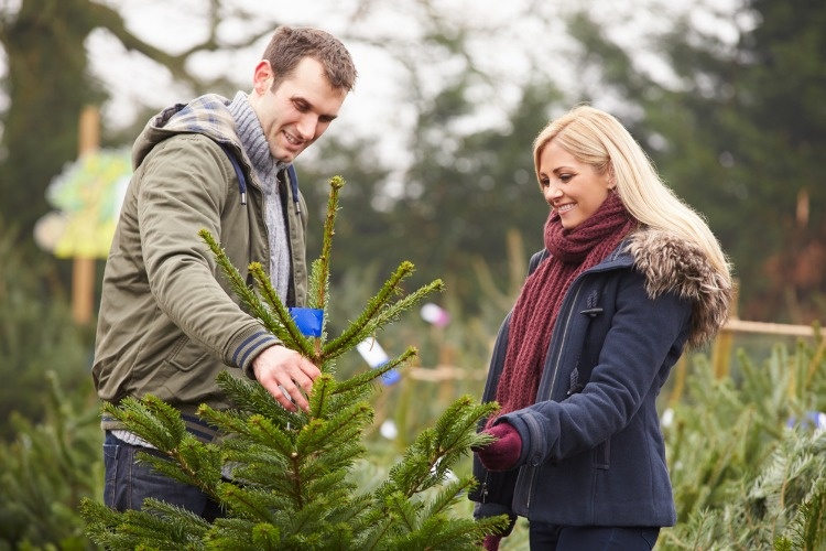 outdoor-couple-choosing-christmas-tree-together-picture-id519215449