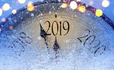 Нумерологический код 2019 года: для кого год Желтой Свиньи станет переломным