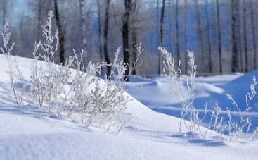 Таро-прогноз: что можно и нельзя делать с 14 по 20 января 2019 года