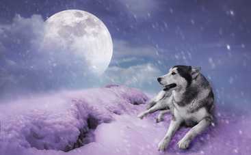 Как использовать силу полнолуния 21 января 2019 для изменения жизни к лучшему