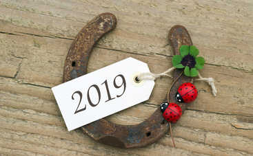 С кем дружит Свинья: 5 знаков Зодиака, которым крупно повезет в 2019