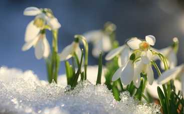 Вірші про весну для дітей різного віку