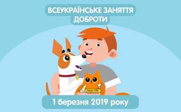 У садочках України пройдуть заняття доброти  у Всесвітній день котів