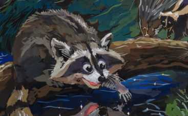 Большая энциклопедия природы: про енота (смотреть мультфильм онлайн)