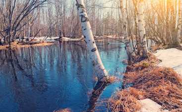 Таро-прогноз с 4 по 10 марта 2019 года: что можно и нельзя делать в эти дни