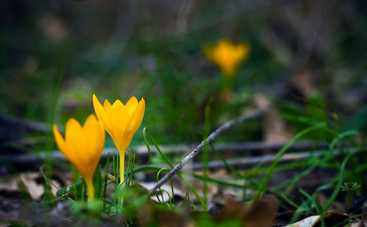 Таро-прогноз с 18 по 24 марта 2019: совет-предупреждение на неделю