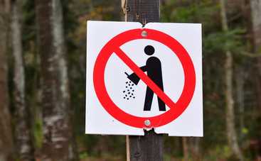 5 вещей, которые нельзя выбрасывать из дома, чтобы не выбросить счастье