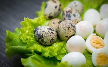 Польза и вред перепелиных яиц: сколько их можно употреблять в день