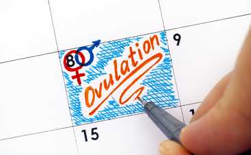 9 основных симптомов и признаков овуляции (инфографика)