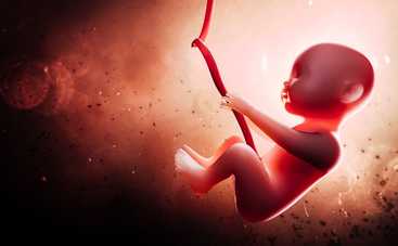 6 интересных фактов о пуповине, о которых вы не знали