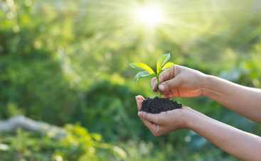 Лунный календарь огородника на апрель 2019: когда что высаживать