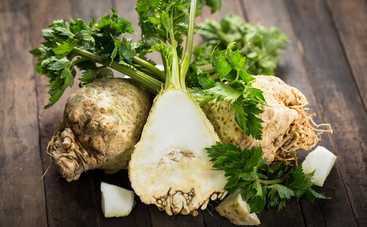 Сельдерей при грудном вскармливании: польза и вред