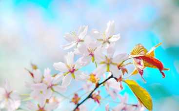 Таро-прогноз с 8 по 14 апреля 2019: что можно и нельзя делать в эти дни