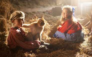 Мартышкины проделки: смотреть фильм онлайн в хорошем качестве