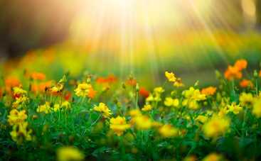 Таро-прогноз с 15 по 21 апреля 2019: совет-предупреждение на неделю