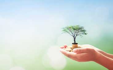 4 знака Зодиака, которые ожидает финансовый успех в мае 2019: прогноз Таро