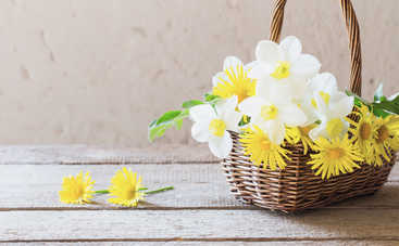 Дни силы в мае 2019: время осуществлять задуманное