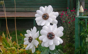 Ромашки из пластика своими руками: пошаговый мастер-класс