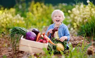 20 смешных анекдотов про огород, картошку и дачу