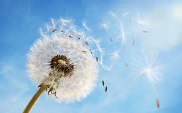 Рассчитайте Число Сердечного Желания: как понять свою сущность и предназначение