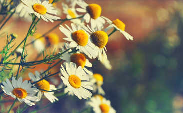 22 мая Николая Чудотворца 2019: что можно и нельзя делать на Николу Летнего